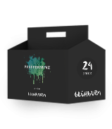 Set Pfefferminz Likör (24&nbsp;Stück)
